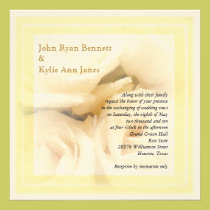 Pale White Rose Invitation invitations