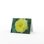 Pale Yellow Blossom Note Card Pale Yellow Blossom Note Card