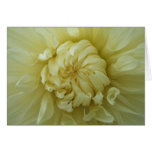 Pale Yellow Dahlia Card Pale Yellow Dahlia Card