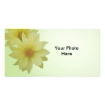 Pale Yellow Dahlia Photo Card