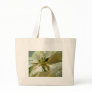 Pale Yellow Poinsettia 1