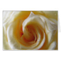 Pale Yellow Rose cards by sansuebar Pale Yellow Rose cards
