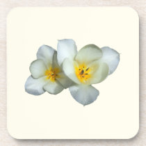 Pale Yellow Tulips After the Rain cork coasters