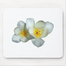 Pale Yellow Tulips After the Rain mousepads