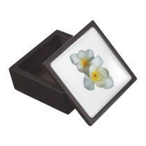 Pale Yellow Tulips After the Rain premium gift boxes