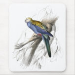 Paleheaded Parrakeet by Edward Lear Mousemat