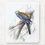 Paleheaded Parrakeet by Edward Lear Mousemat