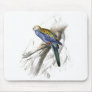 Paleheaded Parrakeet by Edward Lear Mousepad