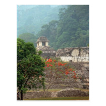 Palenque, Mexico postcards