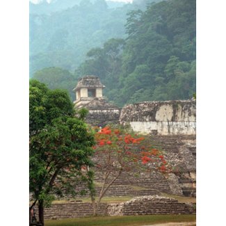 Palenque, Mexico postcard