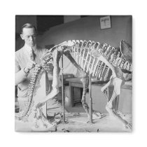 Paleontology Scientist Baby Dinosaur Vintage Fridge Magnets