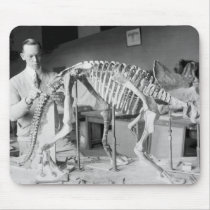 Paleontology Scientist Baby Dinosaur Vintage Mousepads