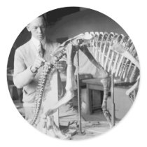Paleontology Scientist Baby Dinosaur Vintage Round Sticker