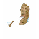 Palestine Flag and Map T-Shirt by FlagAndMap Palestine Flag and Map T-Shirt