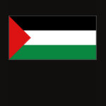 Palestine Flag Map Spaghetti Top