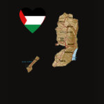 Palestine Flag Heart Map Fitted AA T-Shirt