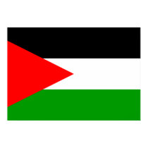 Palestine Flag posters