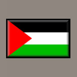 Palestine Flag t-shirts