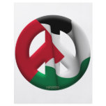 Palestine flyers