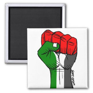 Palestine magnet magnet