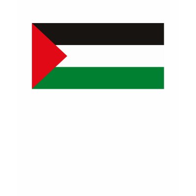 Palestine T-shirt by FlagTshirts