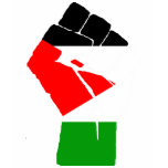 Palestinian Fist of Revolution Shirt