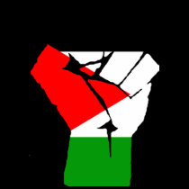 Palestinian Fist of Revolution t-shirts
