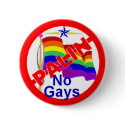 Palin ANTI GAY Button