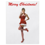 Palin Christmas(t shirt, xmas cards, buttons) Flyers