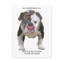 Palin Pit Bull with Lipstick Postcard by pitbullwithlipstick Palin Pit Bull with Lipstick Postcard