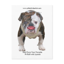 Palin Pit Bull with Lipstick Postcard