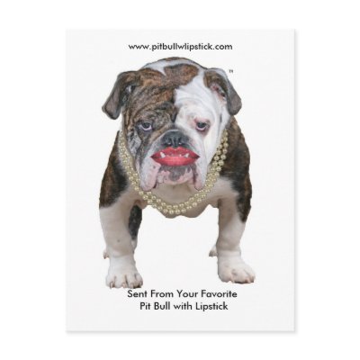 Palin Pit Bull with Lipstick Postcard by pitbullwithlipstick