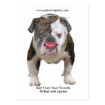 Palin Pit Bull with Lipstick Postcard