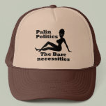 Palin Politics