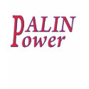 Palin Power T-shirt