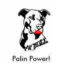 Palin Power T-Shirt by phenixandpriest Palin Power T-Shirt