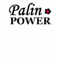 Palin Power t-shirts