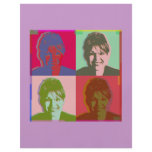 palin sarah flyers