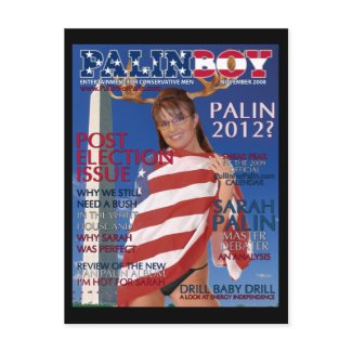 PALINBOY - Post Election Issue-Nov. 2008 Postcard postcard