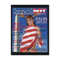 PALINBOY - Post Election Issue-Nov. 2008 Postcard