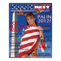PALINBOY - Post Election Issue - Nov. 2008 Poster posters