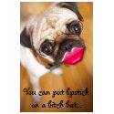 Palin's Lipstick Dog t-shirts by choicescc Palin's Lipstick Dog t-shirts