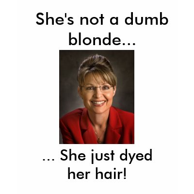sarah palin dumb