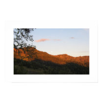 "Palisades" posters