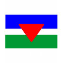 Palisra Flag - Customized t-shirts by nizware Palisra Flag - Customized t-shirts