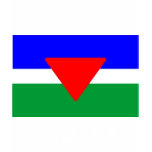 Palisra Flag - Customized T-shirts