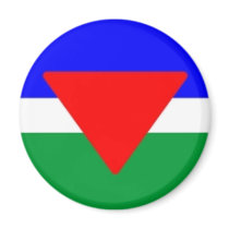 Palisra Flag magnets by nizware Palisra Flag magnets