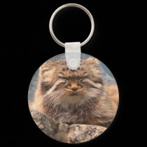 Pallas Cat keychains by Veronica_Schultz Pallas Cat keychains