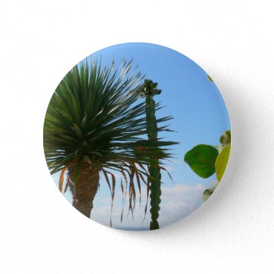 Palm And Cactus buttons