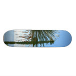 Palm And Cactus Skate Board Deck